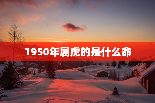 1950年属虎的是什么命