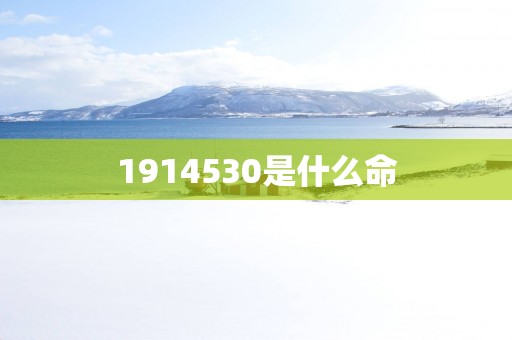 1914530是什么命