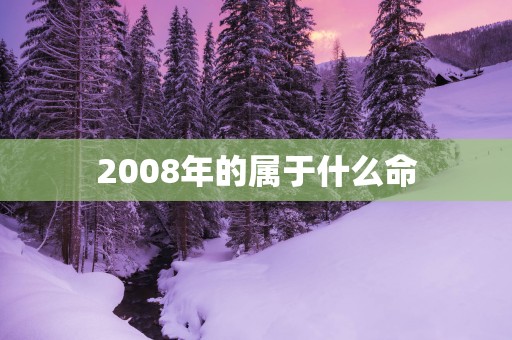 2008年的属于什么命