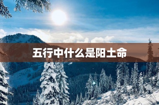 五行中什么是阳土命