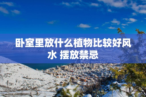 卧室里放什么植物比较好风水 摆放禁忌