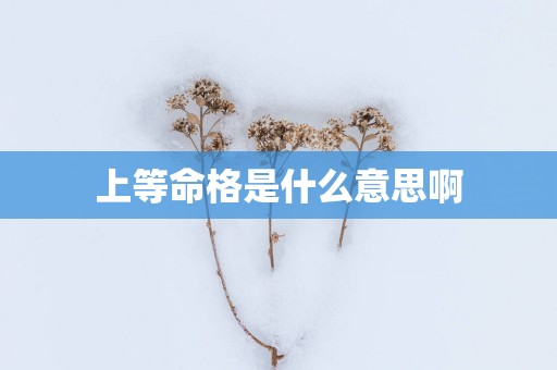 上等命格是什么意思啊