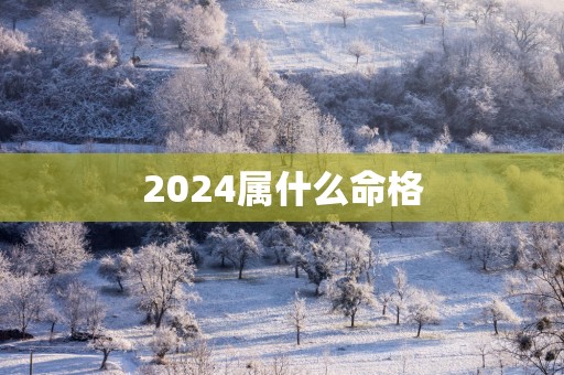 2025属什么命格