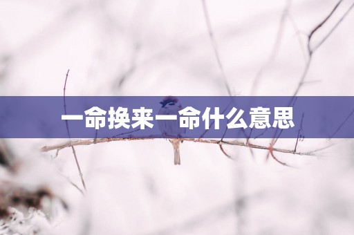 一命换来一命什么意思