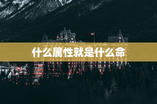 什么属性就是什么命