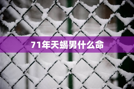 71年天蝎男什么命
