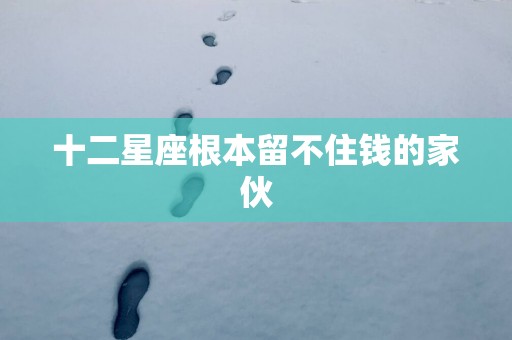 十二星座根本留不住钱的家伙