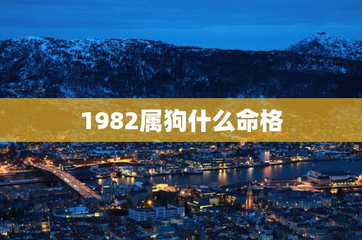 1982属狗什么命格