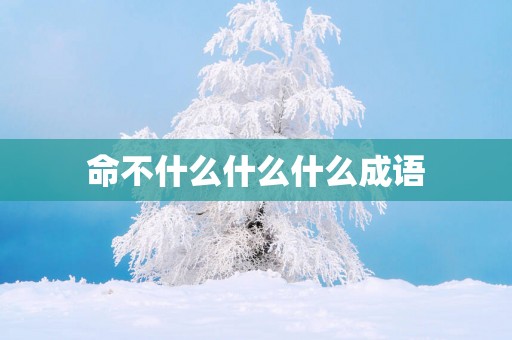 命不什么什么什么成语