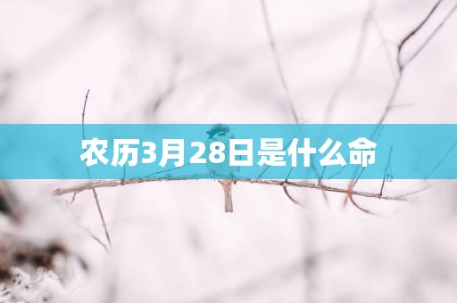 农历3月28日是什么命
