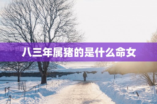八三年属猪的是什么命女