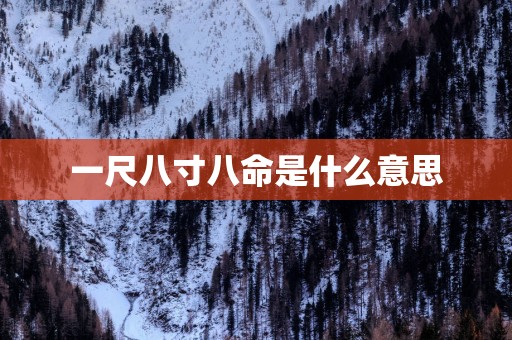 一尺八寸八命是什么意思