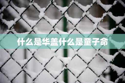 什么是华盖什么是童子命
