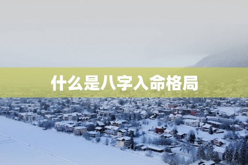 什么是八字入命格局