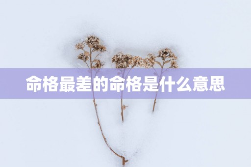 命格最差的命格是什么意思