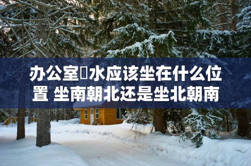 办公室風水应该坐在什么位置 坐南朝北还是坐北朝南