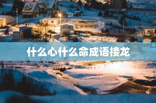 什么心什么命成语接龙
