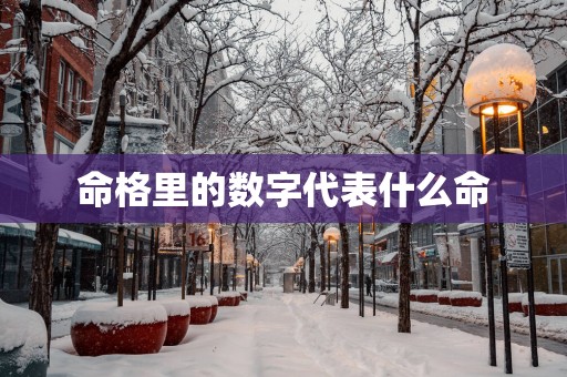 命格里的数字代表什么命