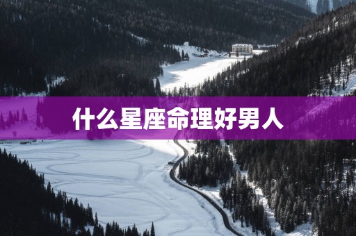 什么星座命理好男人