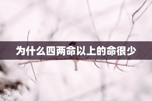为什么四两命以上的命很少