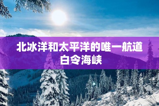 北冰洋和太平洋的唯一航道 白令海峡