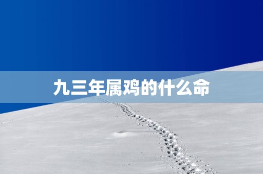 九三年属鸡的什么命