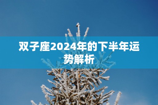 双子座2025年的下半年运势解析