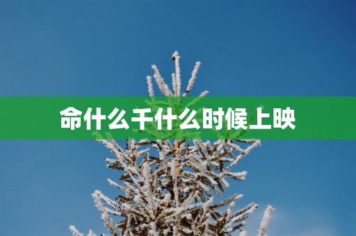 命什么千什么时候上映