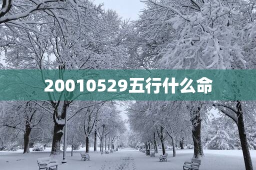 20010529五行什么命