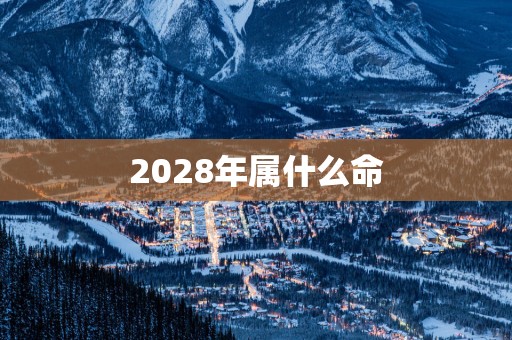 2028年属什么命