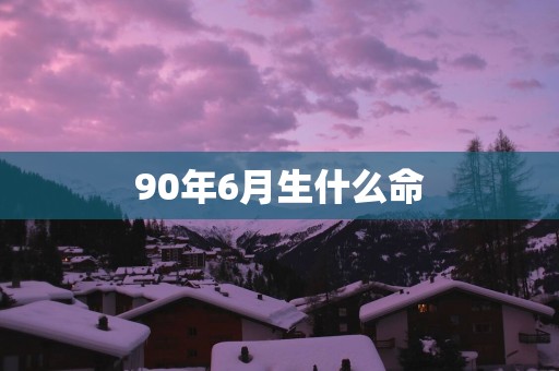 90年6月生什么命