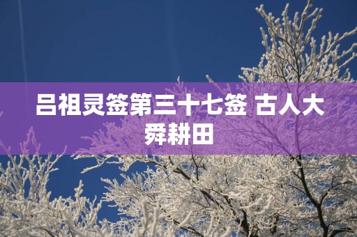吕祖灵签第三十七签 古人大舜耕田