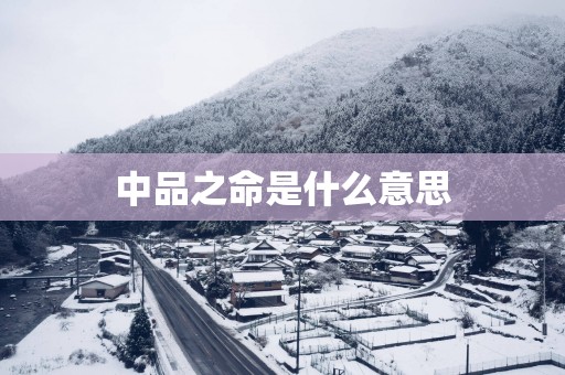 中品之命是什么意思