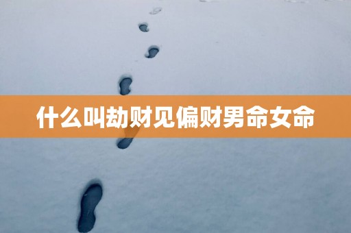 什么叫劫财见偏财男命女命
