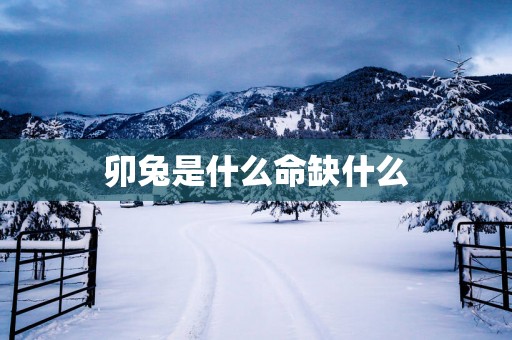 卯兔是什么命缺什么