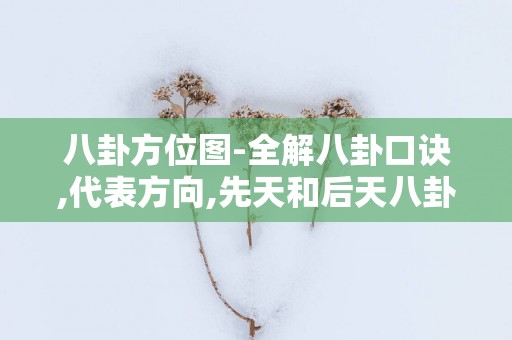 八卦方位图-全解八卦口诀,代表方向,先天和后天八卦的差别等