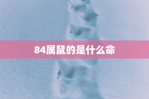 84属鼠的是什么命