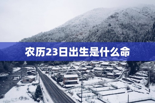 农历23日出生是什么命
