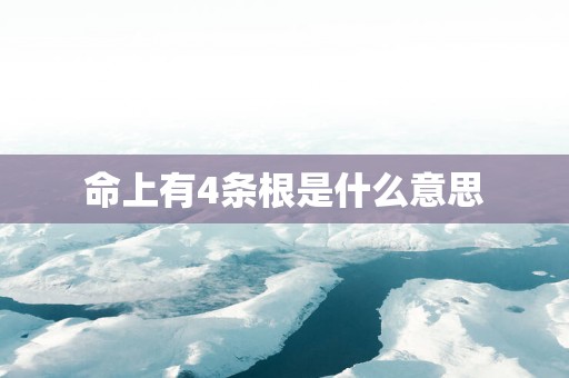 命上有4条根是什么意思