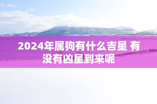 2025年属狗有什么吉星 有没有凶星到来呢