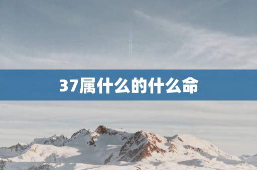 37属什么的什么命
