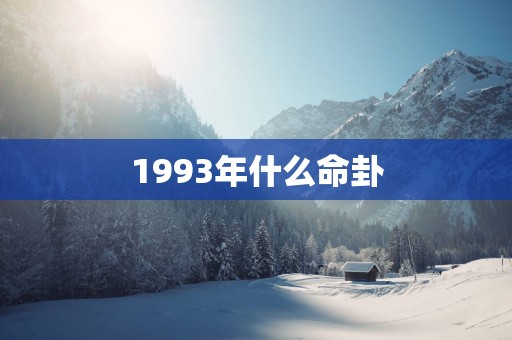 1993年什么命卦
