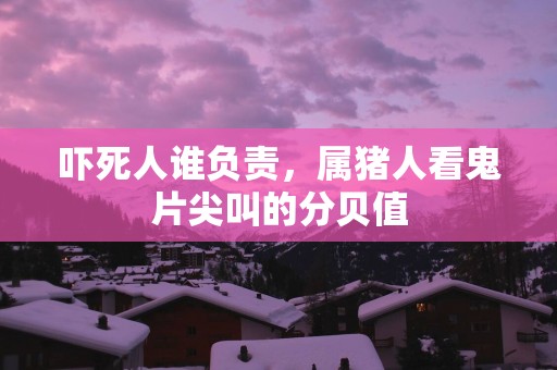 吓死人谁负责，属猪人看鬼片尖叫的分贝值
