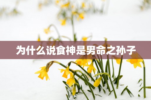 为什么说食神是男命之孙子