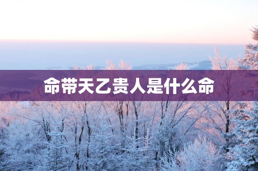命带天乙贵人是什么命