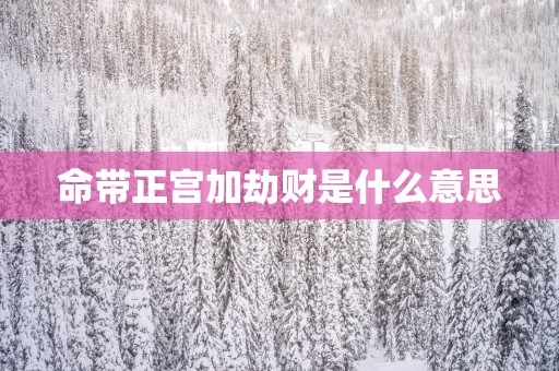 命带正宫加劫财是什么意思