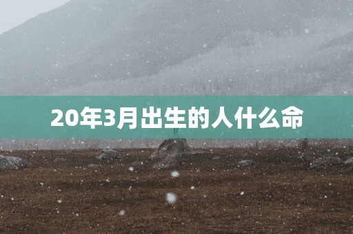 20年3月出生的人什么命