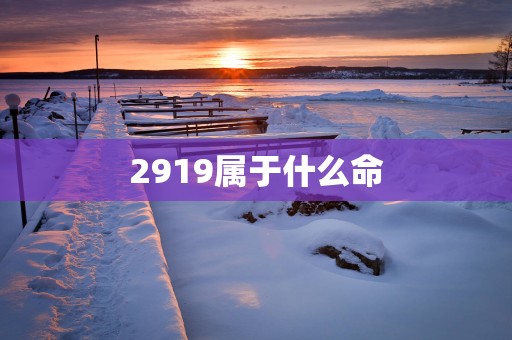 2919属于什么命