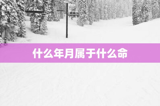 什么年月属于什么命