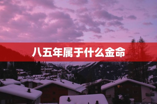 八五年属于什么金命
